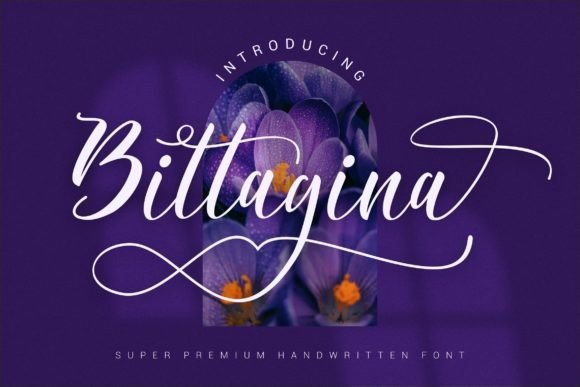 Bittagina: A Refined Script Font