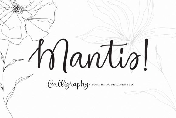 Mantis: A Modern Calligraphy Font for Handmade Charm